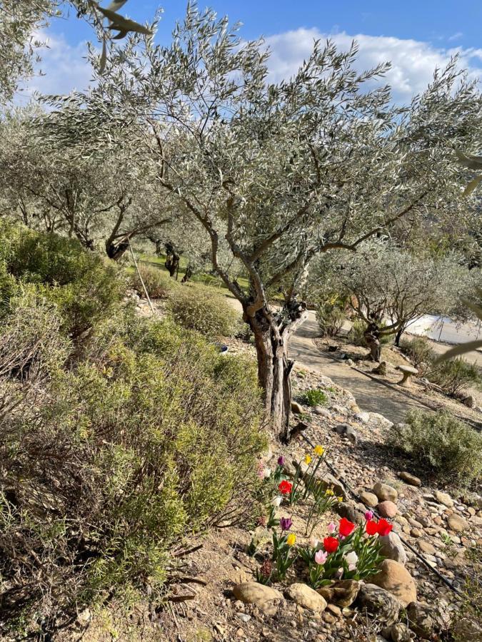 Gite La Maison Dans L'Olivette Oraison Exterior foto