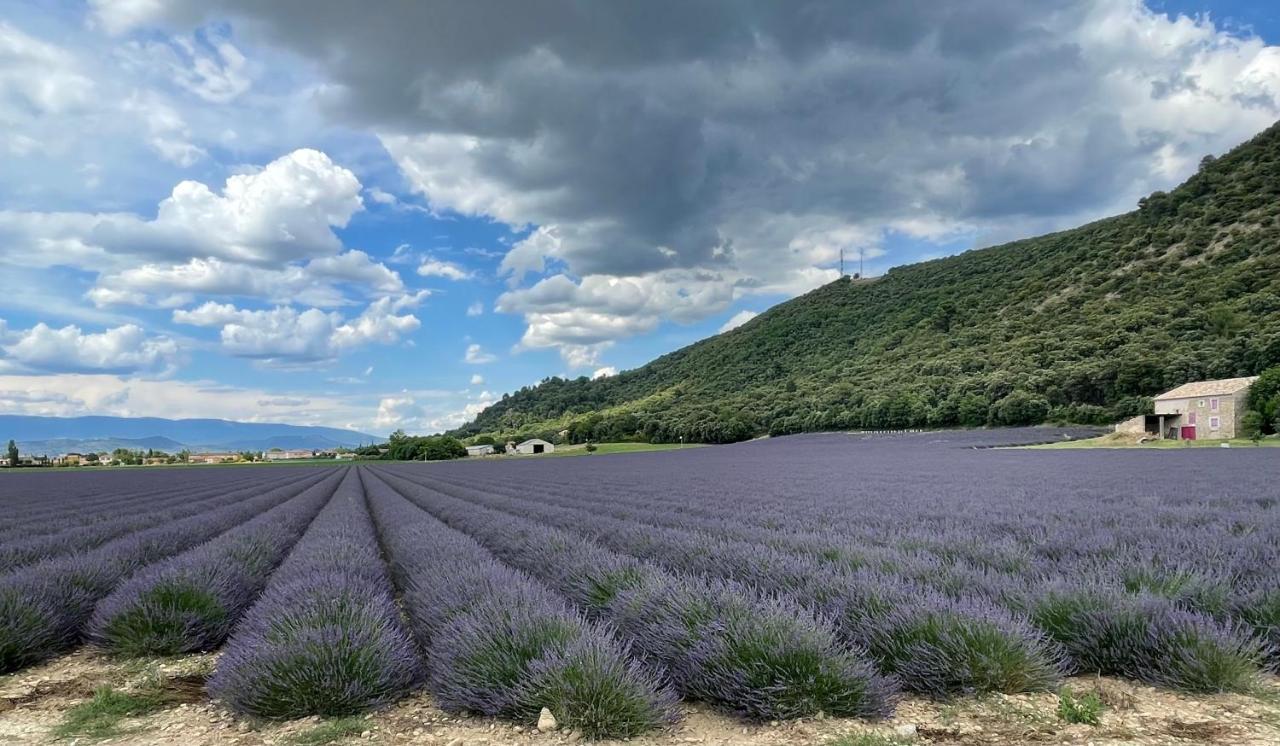 Gite La Maison Dans L'Olivette Oraison Exterior foto