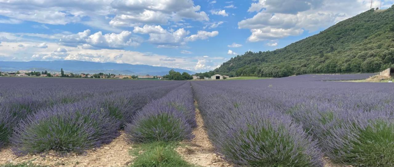 Gite La Maison Dans L'Olivette Oraison Exterior foto